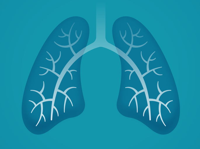 simple rendering of human lungs in shades of blue