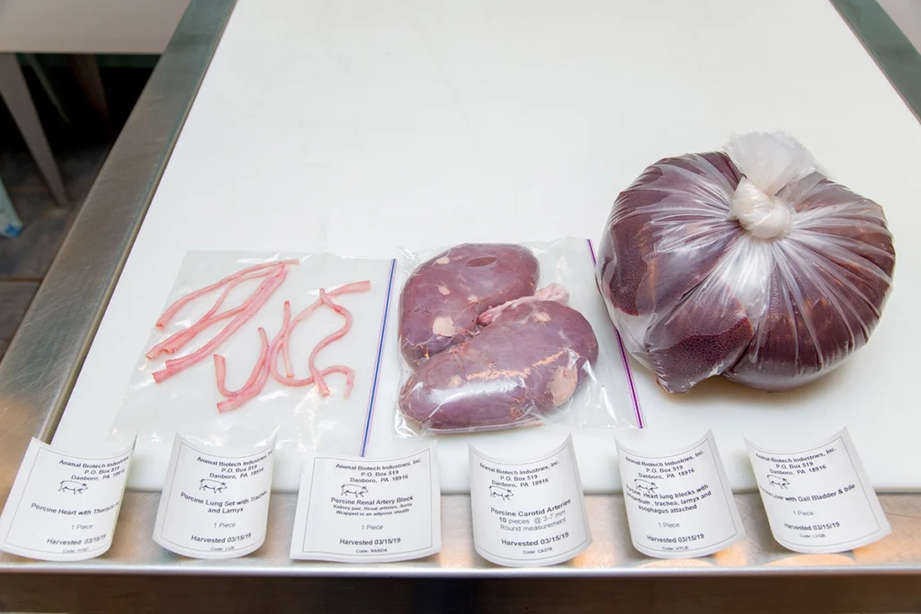 Porcine tissue supplier reviews for biomed