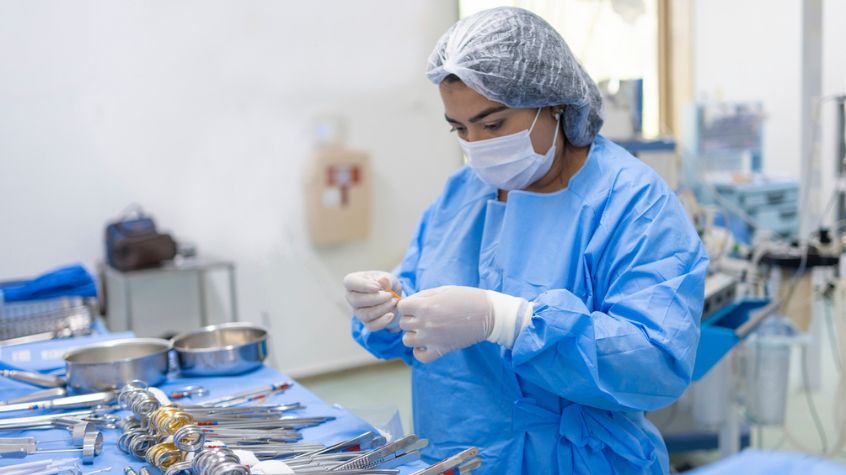 Porcine Organs Widely Used for Surgical Training