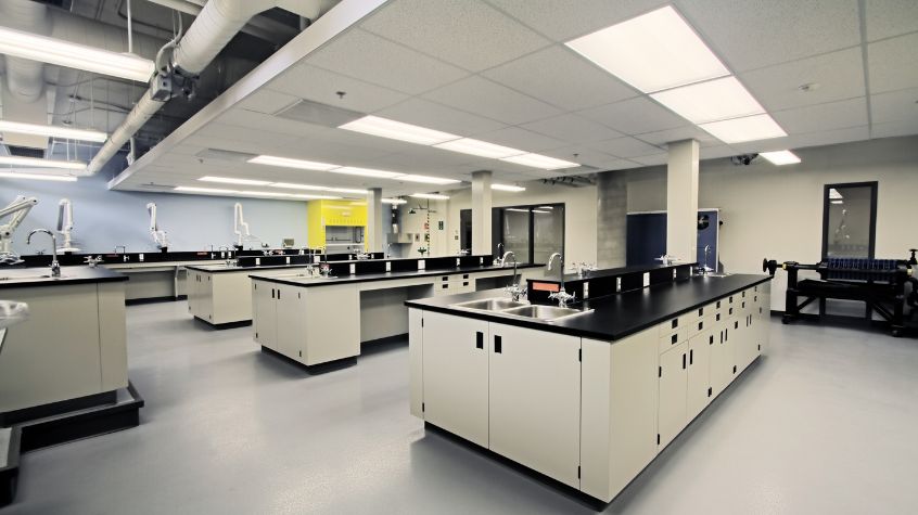 Porcine Tissue Simulations