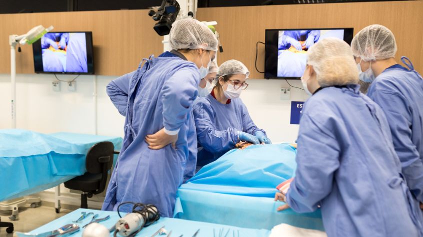 Researchers using on-site laboratory access with porcine tissue supplier for